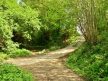DSC_1861-800×600